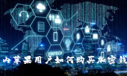 国内苹果用户如何购买加密钱包