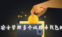 如何安全管理多个比特币