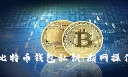 如何安全导入比特币钱包私钥：断网操作的必要性解析