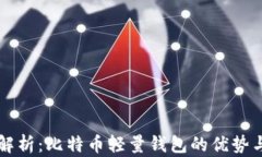 全面解析：比特币轻量钱