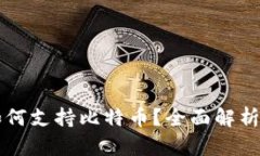 苹果钱包如何支持比特币