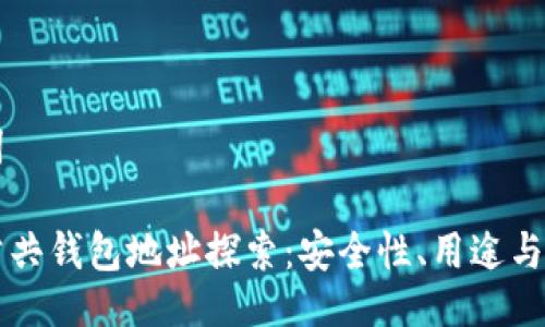 与关键词

区块链公共钱包地址探索：安全性、用途与如何获取