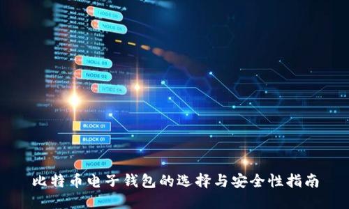 比特币电子钱包的选择与安全性指南