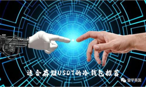 适合存储USDT的冷钱包推荐