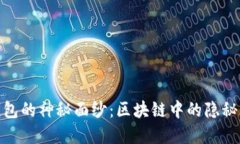揭开未知钱包的神秘面纱