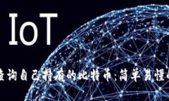 如何查询自己持有的比特