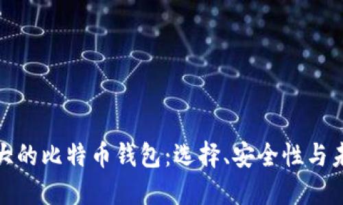 全球最大的比特币钱包：选择、安全性与未来趋势