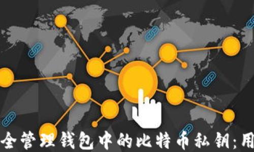 
如何安全管理钱包中的比特币私钥：用户指南