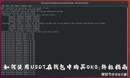 如何使用USDT在钱包中购买OKB：终极指南