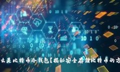 什么是比特币冷钱包？揭