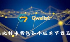 全面指南：比特币钱包各