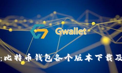 全面指南：比特币钱包各个版本下载及使用技巧