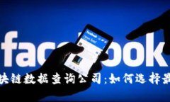 全面解析区块链数据查询