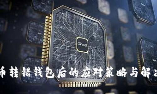 虚拟币转错钱包后的应对策略与解决办法