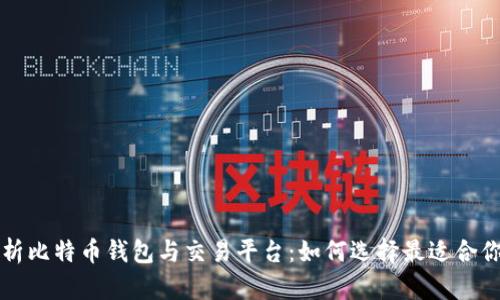 全面解析比特币钱包与交易平台：如何选择最适合你的方式