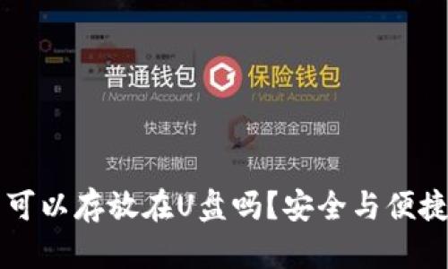 比特币钱包可以存放在U盘吗？安全与便捷的选择解析