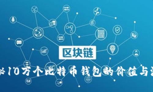 揭秘10万个比特币钱包的价值与潜力