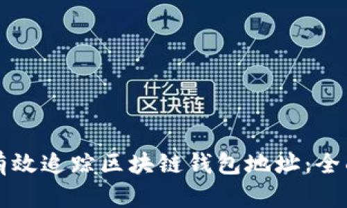 如何有效追踪区块链钱包地址：全面指南