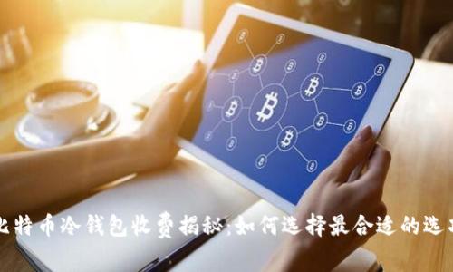比特币冷钱包收费揭秘：如何选择最合适的选项