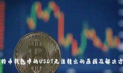 比特币钱包中的USDT无法转