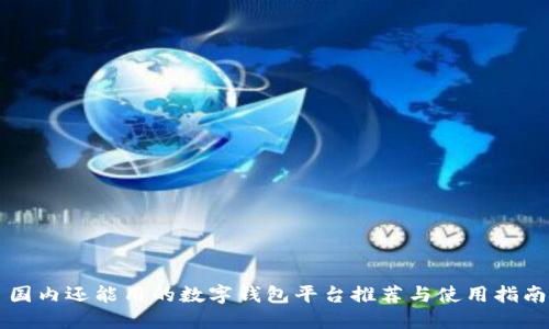 国内还能用的数字钱包平台推荐与使用指南
