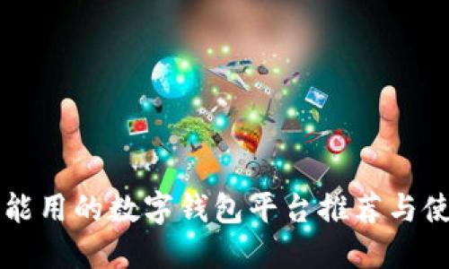 国内还能用的数字钱包平台推荐与使用指南