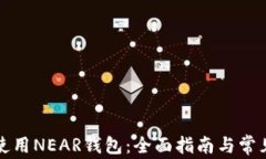 如何安全使用NEAR钱包：全