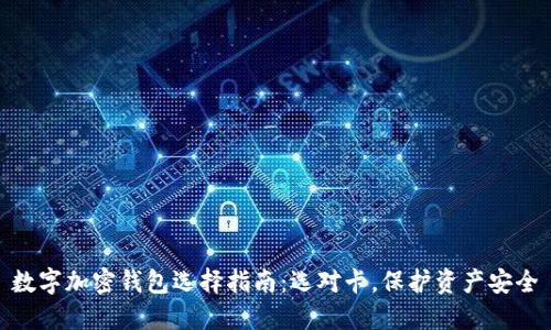 数字加密钱包选择指南：选对卡，保护资产安全
