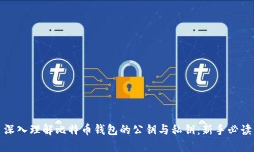 深入理解比特币钱包的公钥与私钥：新手必读