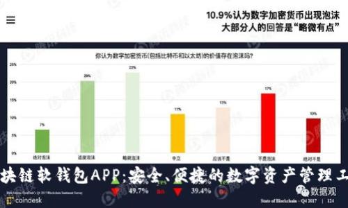 区块链软钱包APP：安全、便捷的数字资产管理工具