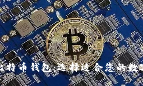 全球最热门的比特币钱包：选择适合您的数字资产保护方案