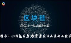 比特币Plus钱包崩盘：投资