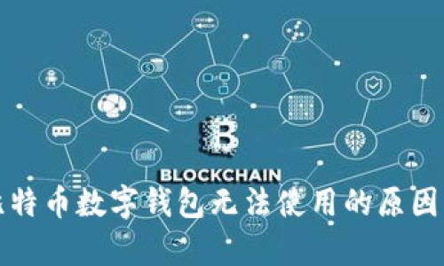 全面解析比特币数字钱包无法使用的原因及解决方案