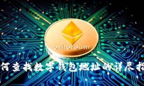 如何查找数字钱包地址的详尽指南