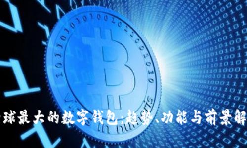全球最大的数字钱包：趋势、功能与前景解析