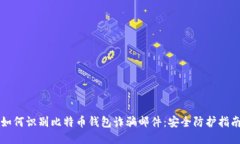 如何识别比特币钱包诈骗