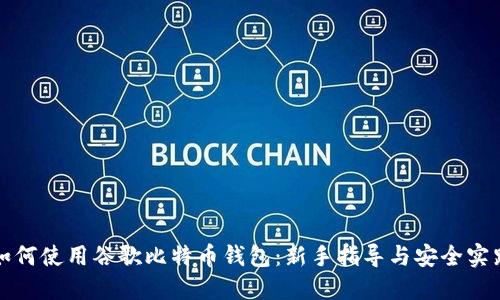 如何使用谷歌比特币钱包：新手指导与安全实践