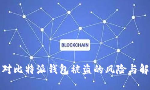 如何应对比特派钱包被盗的风险与解决方案