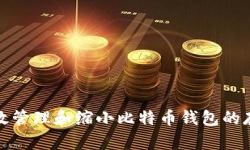 如何有效管理和缩小比特币钱包的存储需求