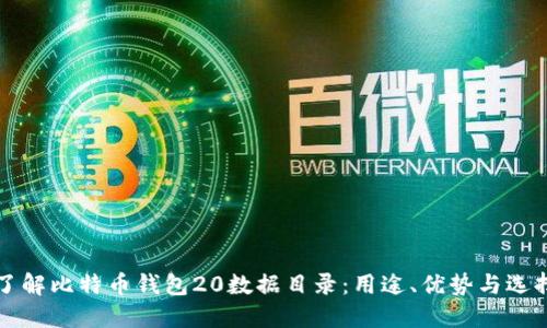 全面了解比特币钱包20数据目录：用途、优势与选择指南