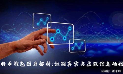 比特币钱包图片解析：识别真实与虚假信息的技巧