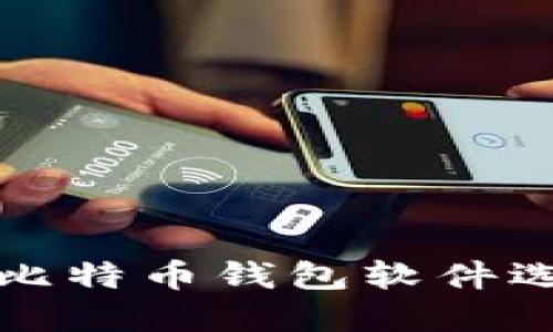 安全的比特币钱包软件选择指南