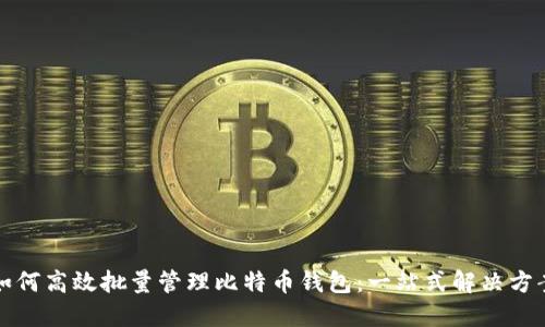如何高效批量管理比特币钱包：一站式解决方案