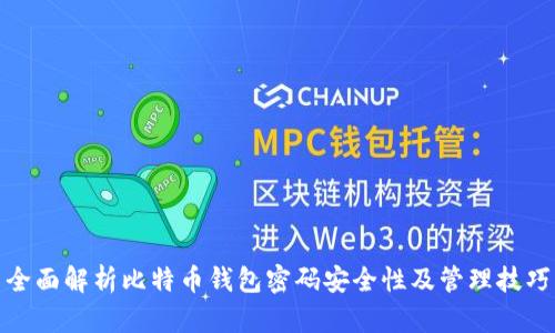 全面解析比特币钱包密码安全性及管理技巧
