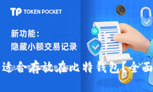 狗狗币是否适合存放在比特钱包？全面解读与分析