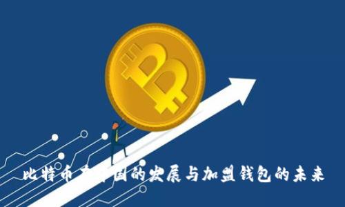 比特币在中国的发展与加盟钱包的未来