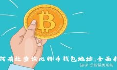如何有效查询比特币钱包