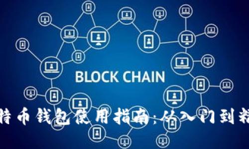 比特币钱包使用指南：从入门到精通