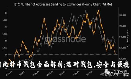 常用比特币钱包全面解析：选对钱包，安全与便捷并存