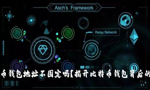 比特币钱包地址不固定吗？揭开比特币钱包背后的秘密